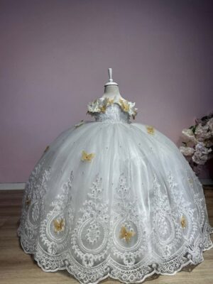 Robe de Princesse