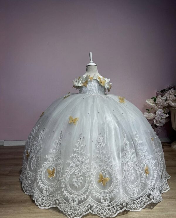 Robe de Princesse