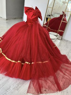 Robe de Princesse