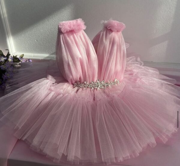Robe de Princesse