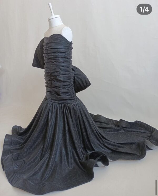 Robe de Princesse