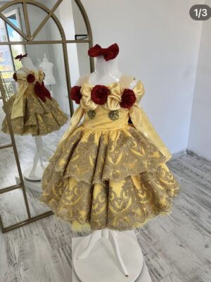 Robe de Princesse