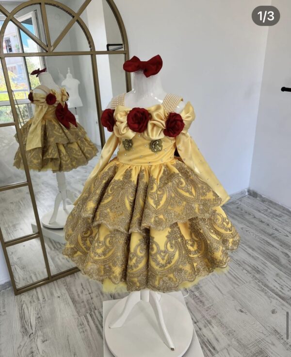 Robe de Princesse