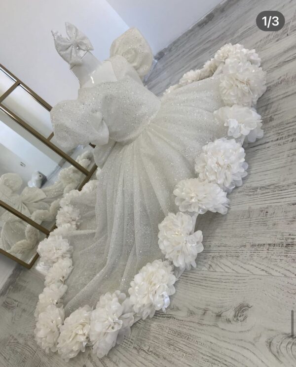 Robe de Princesse