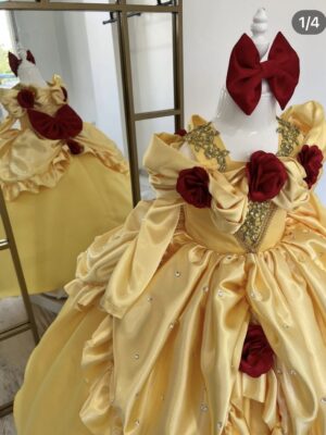 Robe de Princesse