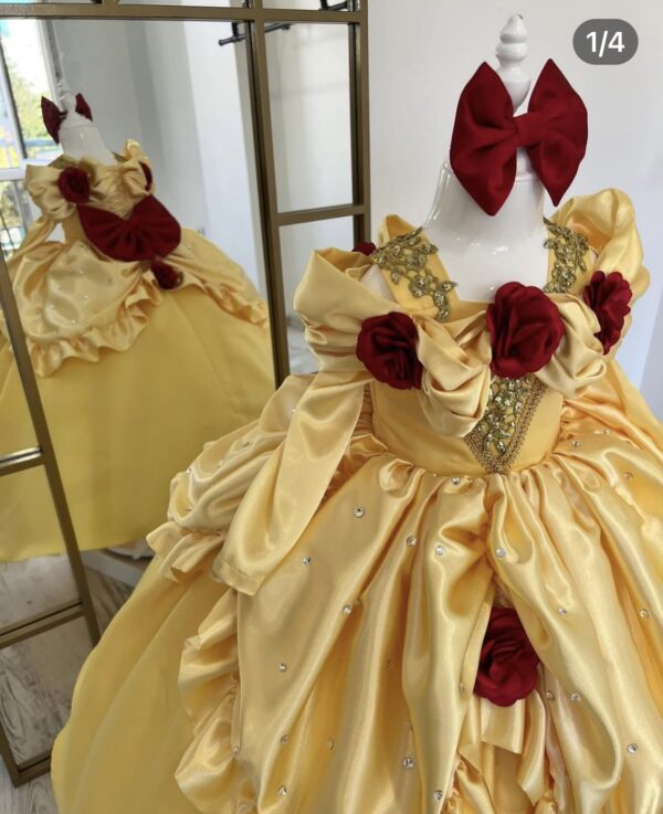 Robe de Princesse