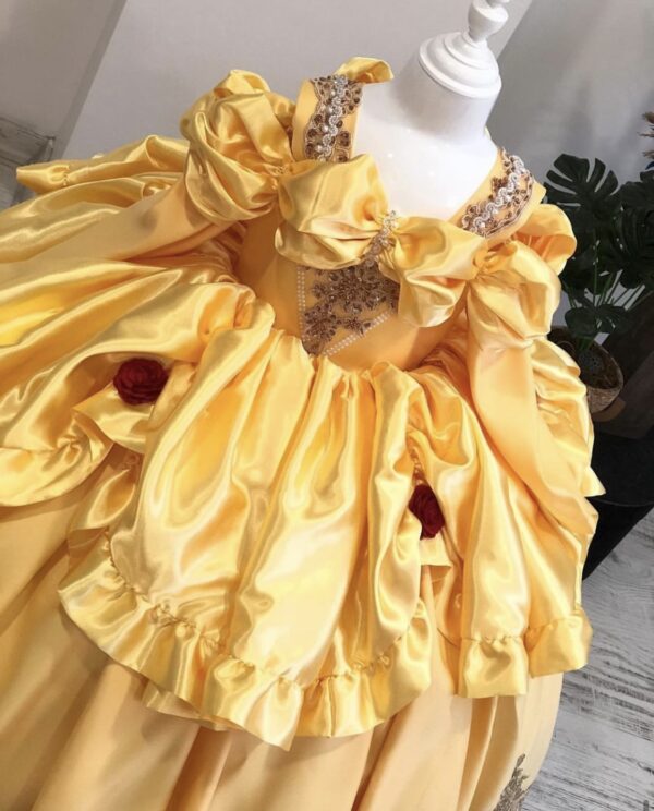 Robe de Princesse