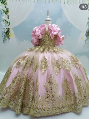 Robe de Princesse