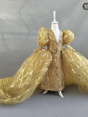 Robe de Princesse