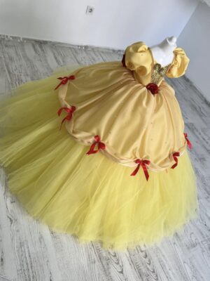 Robe de Princesse