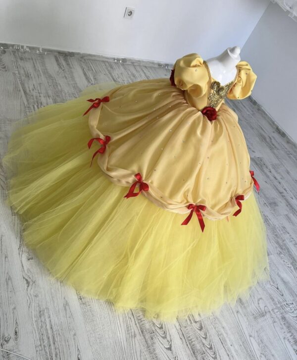 Robe de Princesse