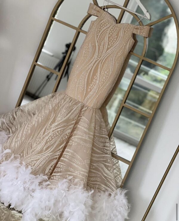 Robe de Princesse
