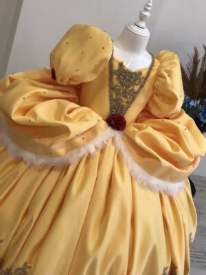 Robe de Princesse