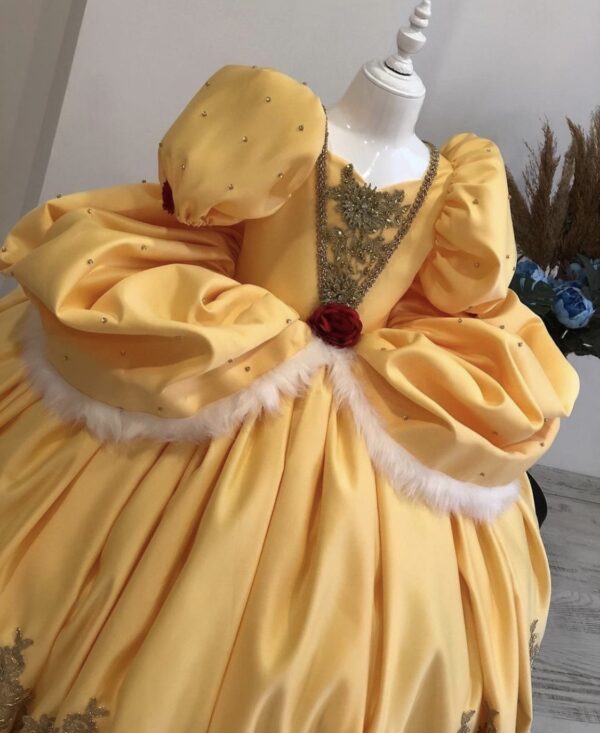 Robe de Princesse