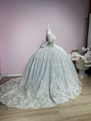 Robe de Princesse