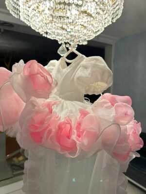 robe de princesse