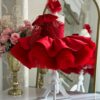 robe de princesse