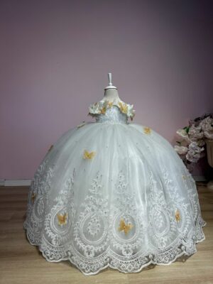 robe de princesse