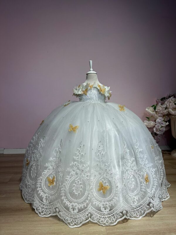 robe de princesse