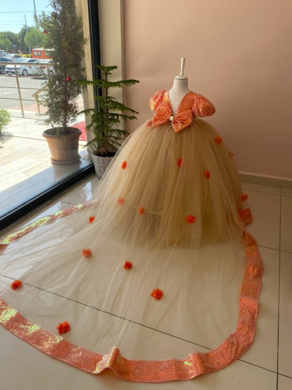 robe de princesse – Image 3