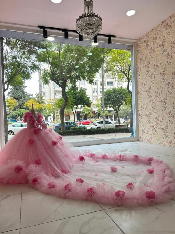 robe de princesse