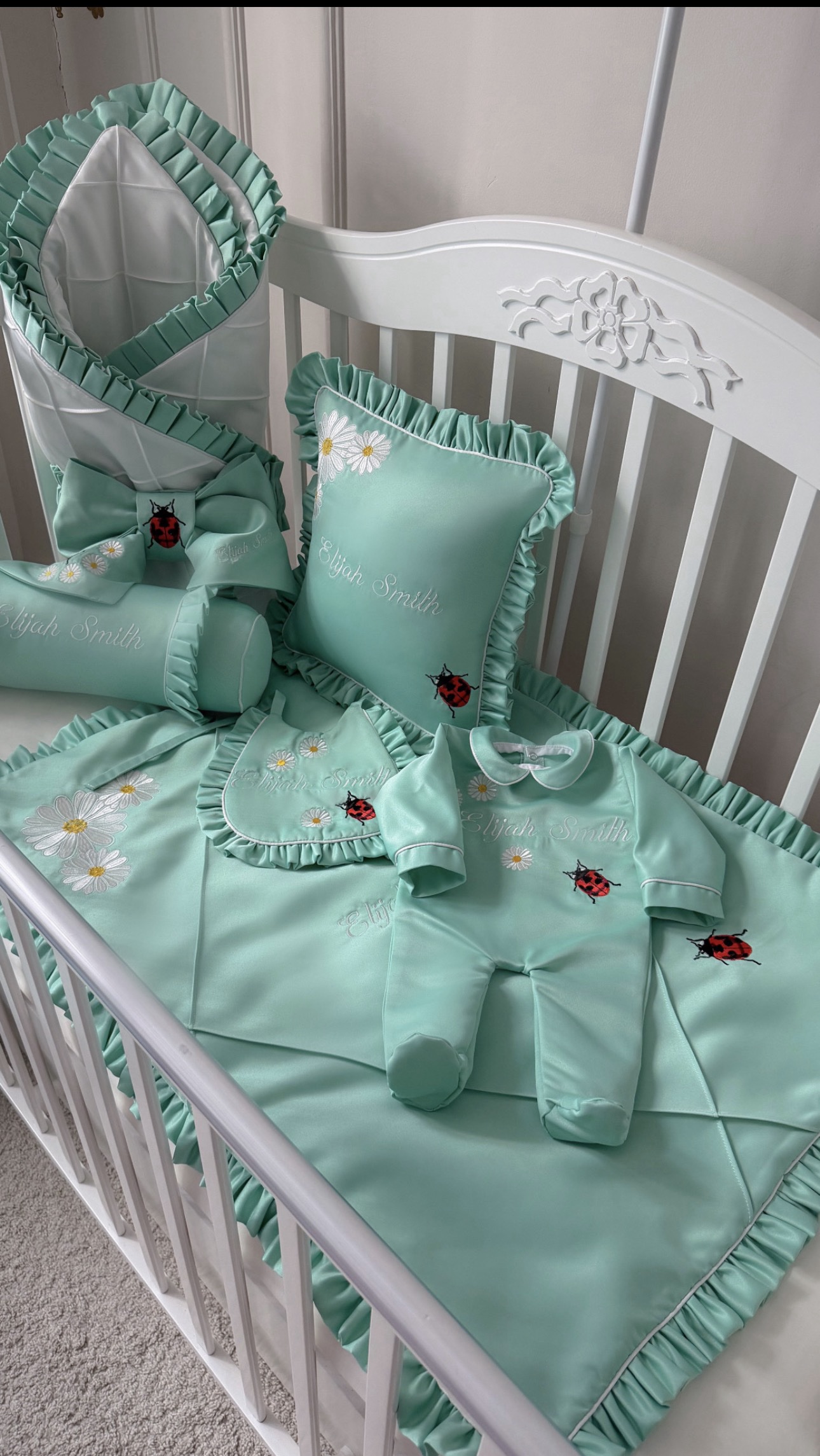 Set coccinelle